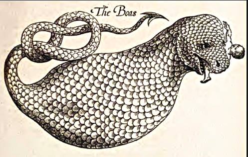 11018789_719446864843268_1885431450305783842_n