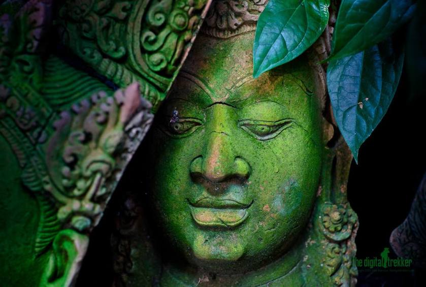 green buddha copy